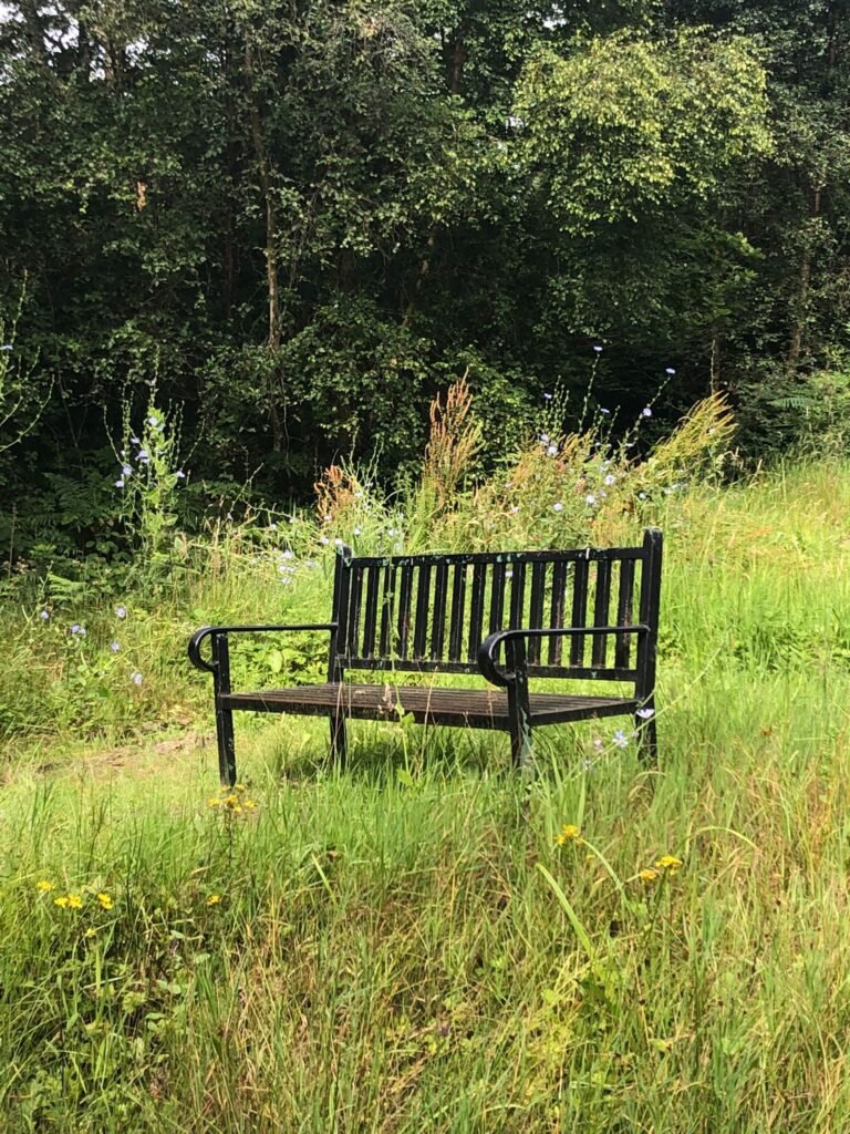 chairingrass chairingrass