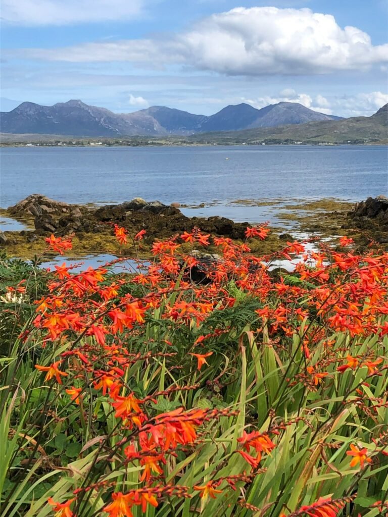 grounded montains img grounded montains img